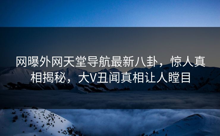网曝外网天堂导航最新八卦，惊人真相揭秘，大V丑闻真相让人瞠目