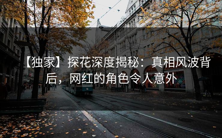 【独家】探花深度揭秘：真相风波背后，网红的角色令人意外