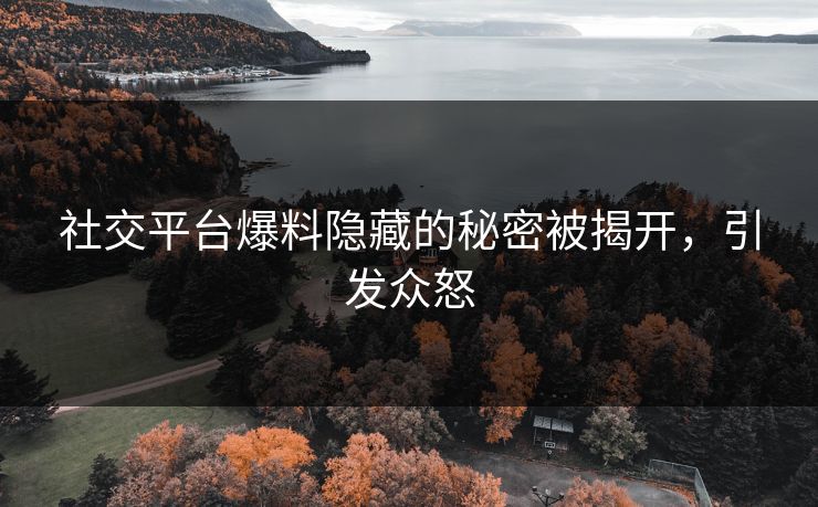 社交平台爆料隐藏的秘密被揭开，引发众怒