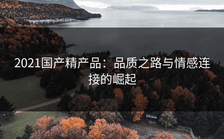 2021国产精产品：品质之路与情感连接的崛起