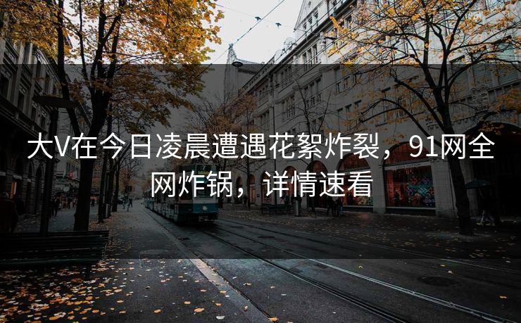 大V在今日凌晨遭遇花絮炸裂，91网全网炸锅，详情速看