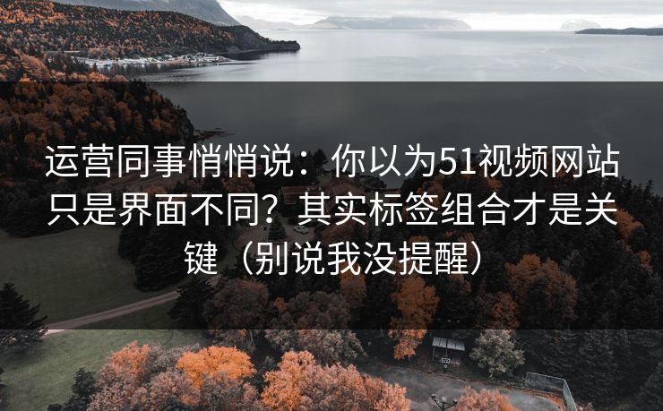 运营同事悄悄说:你以为51视频网站只是界面不同?其实标签组合才是关键(别说我没提醒) 运营同事悄悄说:你以为51视频网站只是界面不同?其实标签组合才是关键(别说我没提醒)